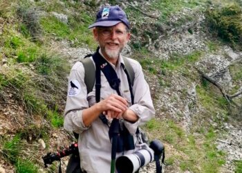 L’Università d’Annunzio coordina CoexHub, il progetto di ricerca che studia la convivenza uomo-orso