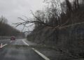 Paura in autostrada dopo Carsoli: un albero si spezza e cade sulla carreggiata