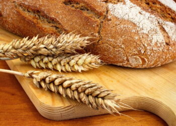 Il viaggio nella celiachia, un appuntamento al mese per informarsi e vivere con serenità