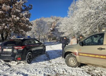 Controlli straordinari nel Parco Nazionale d’Abruzzo a difesa di territorio e biodiversità