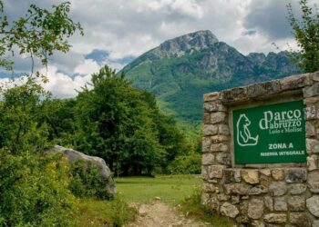 Parco Nazionale d’Abruzzo, 103 anni di tutela, visione e impegno per la natura