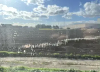 Disagi sulla linea Pescara-Bari, un passeggero: “I cavi hanno danneggiato il treno”