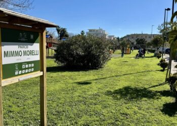Riqualificazione al Parco Morelli: la Renato Curi Delfino Folgore rigenera il campo “Croce”