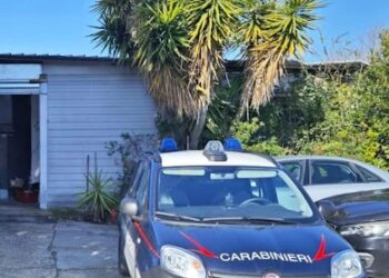 Officina abusiva e rifiuti pericolosi, scatta il sequestro