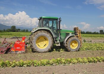 Rinviata la revisione obbligatoria per 2 milioni di trattori: il mondo agricolo tira il fiato