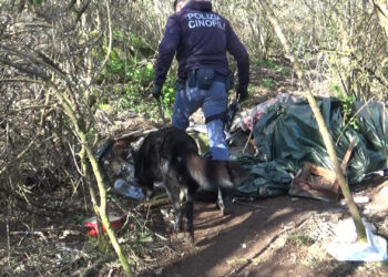 Blitz della polizia tra Bagno e Pianola, smantellata una piazza di spaccio nel bosco