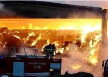 Roghi nella Marsica, condanna definitiva per Troiani: arrestato e trasferito nel carcere di Avezzano