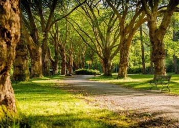 Weekend fuori porta: parchi e riserve da scoprire in primavera