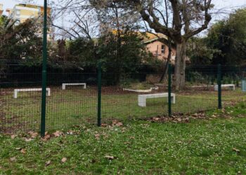 Approvato al Comune di Giulianova il regolamento per le aree di sgambamento per cani