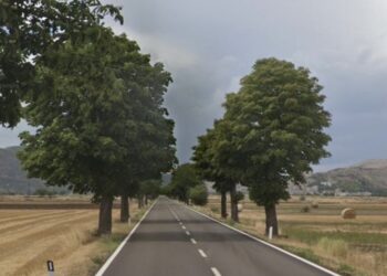 Nasce la strada dei Patriarchi, gli alberi della Regionale 17 nell’elenco degli alberi monumentali d’Italia