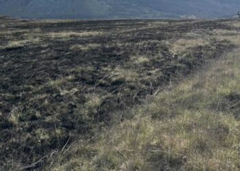 Incendio a Capistrello, fiamme nei Piani Palentini: intervento rapido scongiura conseguenze peggiori (foto)