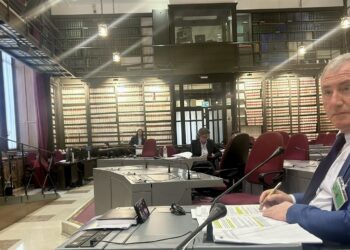 Audizione in commissione Bilancio, Caruso: “Sostenere la crescita con investimenti pubblici”