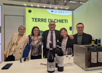 Tenuta i Fauri: il racconto autentico del vino tra tradizione e innovazione
