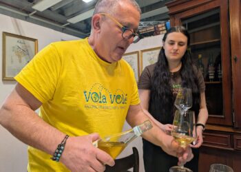 Cantina Orsogna al Vinitaly: tra Innovazione a Basso Grado Alcolico e Radici Abruzzesi