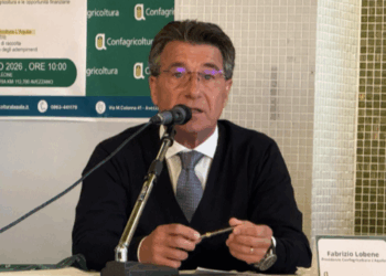 Aree idonee e rinnovabili in Abruzzo, Confagricoltura: senza dati Agea si decide al buio