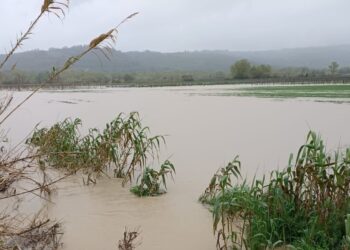 Maltempo in Abruzzo, Coldiretti: priorità a infrastrutture, viabilità e sostegno all’intera filiera