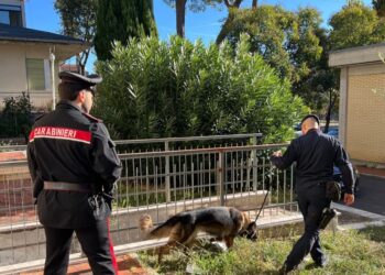 Un chilo di cocaina pura trovata in riva al mare: scoperta choc a Pineto