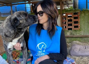 Caso del cane lasciato morire a Spoltore: LNDC denuncia giustizia “senza vera condanna”