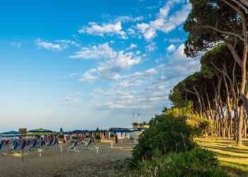 Roseto, “Il Guscio” presenta un’estate tra cultura e impegno sociale: ecco il calendario