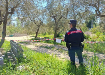 I carabinieri forestali sequestrano una discarica abusiva vicino al fiume Pescara