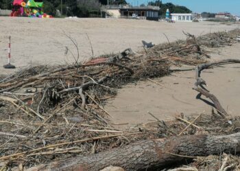 Spiagge di Pescara, iniziata la pulizia dopo le mareggiate