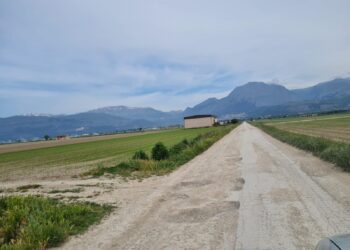 Manutenzione della viabilità nel Fucino, rinviata ogni decisione. Coldiretti: occasione persa