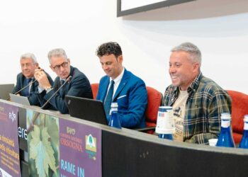 Dalle vigne del Morrone alla Blockchain: la rivoluzione digitale e green della Cantina Valpeligna