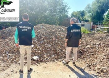 Discarica abusiva scoperta a Spoltore: blitz dei carabinieri forestali