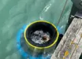 Al Marina di Pescara arriva Aqualis, un dispositivo cattura plastica