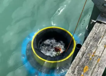 Al Marina di Pescara arriva Aqualis, un dispositivo cattura plastica