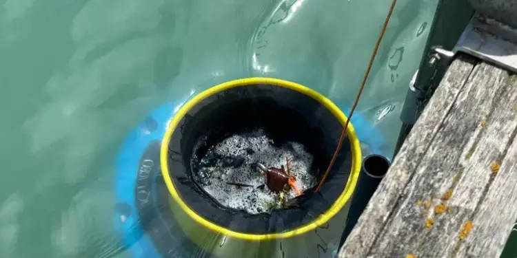 Al Marina di Pescara arriva Aqualis, un dispositivo cattura plastica