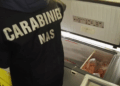 Bliz dei NAS, tra ristoranti e strutture ricettive: 5 attività non conformi per gravi carenze igieniche