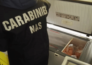 Bliz dei NAS, tra ristoranti e strutture ricettive: 5 attività non conformi per gravi carenze igieniche