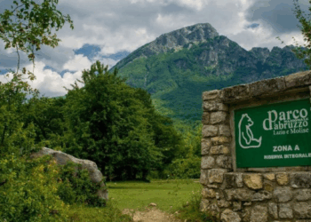Protocollo d’intesa tra Parco e Confagricoltura L’Aquila, un patto per la coesistenza tra fauna selvatica e imprese agricole
