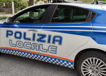 Farmacista incinta ferita, colpo da mille euro: è caccia all’uomo