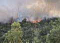 Incendio nella zona collinare tra Teramo e Canzano: in azione Vigili del Fuoco e Carabinieri Forestali