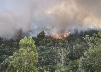 Incendio nel Teramano : in azione Vigili del Fuoco e Carabinieri Forestali