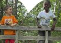 Oltre le mura della scuola: a Teramo si presentano gli esiti del percorso “A Scuola nel Bosco”