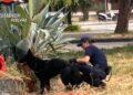 “Family Lock”, il clan familiare dello spaccio: sei misure cautelari a Pescara