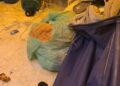 Blitz in un casolare trasformato in serra di piante di droga: tre arresti