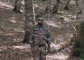 Scompare nei boschi e si mimetizza con la natura: successo per la performance di Liu Bolin