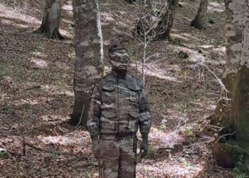 Scompare nei boschi e si mimetizza con la natura: successo per la performance di Liu Bolin