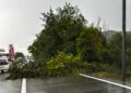 Violenta ondata di maltempo sulla Marsica: alberi abbattuti e strade bloccate