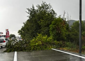 Violenta ondata di maltempo sulla Marsica: alberi abbattuti e strade bloccate