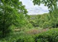 Parco Lauretum, domenica porte aperte tra scorci suggestivi e biodiversità