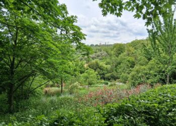 Parco Lauretum, domenica porte aperte tra scorci suggestivi e biodiversità