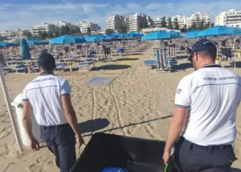Guardia costiera e Centro Studi Cetacei salvano la tartaruga Nicole