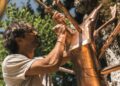 ArteParco diventa festival: al via la nona edizione tra arte, natura e musica