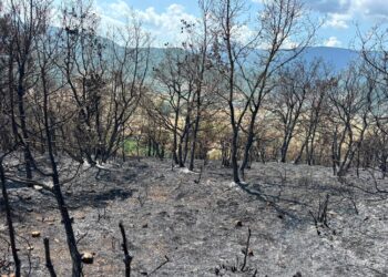 Monte Salviano, l’incendio non è ancora un ricordo: continua la battaglia contro gli ultimi focolai