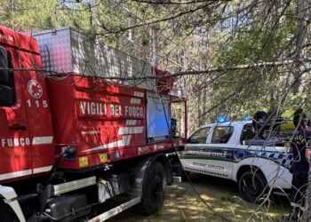 Fiamme nella pineta di Valle del Campanaro, in azione Protezione Civile, Vigili del Fuoco e Carabinieri Forestali